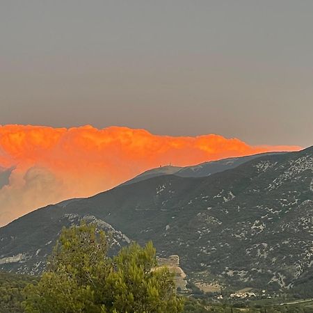 Апартаменты Les Terrasses Du Ventoux Mollans-sur-Ouveze Экстерьер фото
